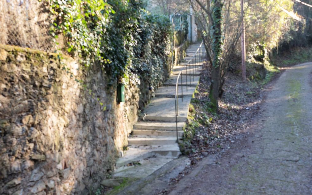 Acollidora casa a Sant Daniel