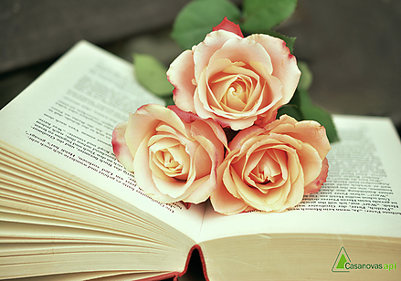 ¡Feliz diada de San Jordi 2019!